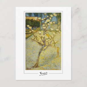 Cartão Postal Vincent Van Gogh #37-2 - Arte Refinada