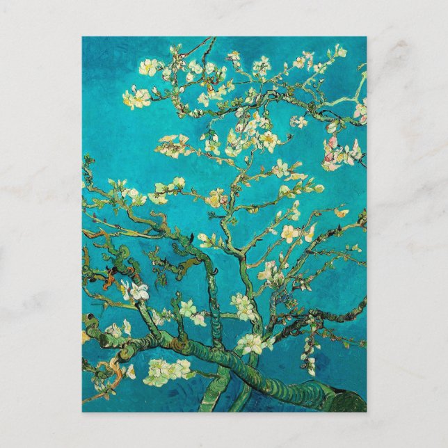 Cartão Postal Vincent Van Gogh Blossoming Almond Tree Arte Flora (Frente)