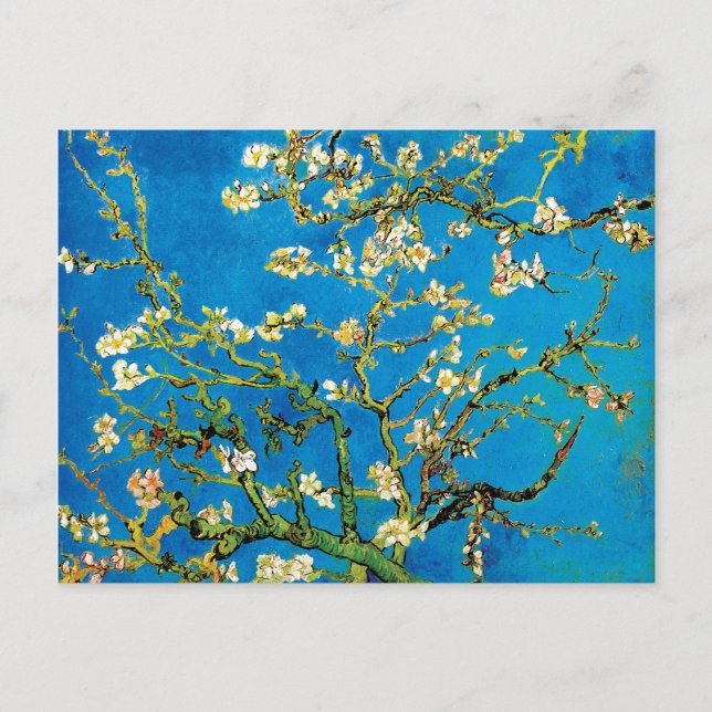 Cartão Postal Vincent Van Gogh - Blossoming Almond Tree Fine Art (Frente)