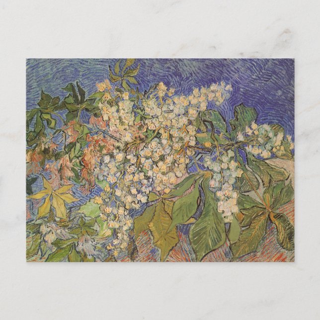 Cartão Postal Vincent van Gogh - Blossoming Chestnut Branches (Frente)