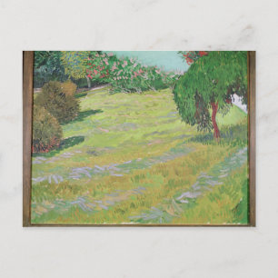 Cartão Postal Vincent van Gogh Campo à luz do sol, 1888