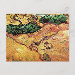 Cartão Postal Vincent Van Gogh - Campo Com Dois Coelhos De Belas
