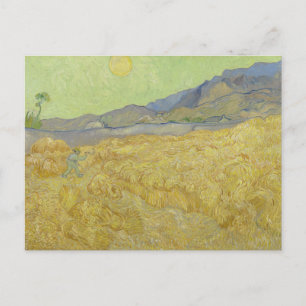 Cartão Postal Vincent Van Gogh, Campo de Trigo com Ceifeira