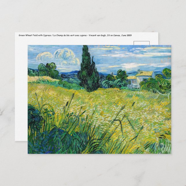 Cartão Postal Vincent van Gogh - Campo de Trigo Verde com Cypres (Frente/Verso)