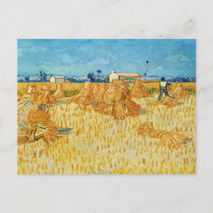 Cartão Postal Vincent Van Gogh, Colheita de Milho na Provença
