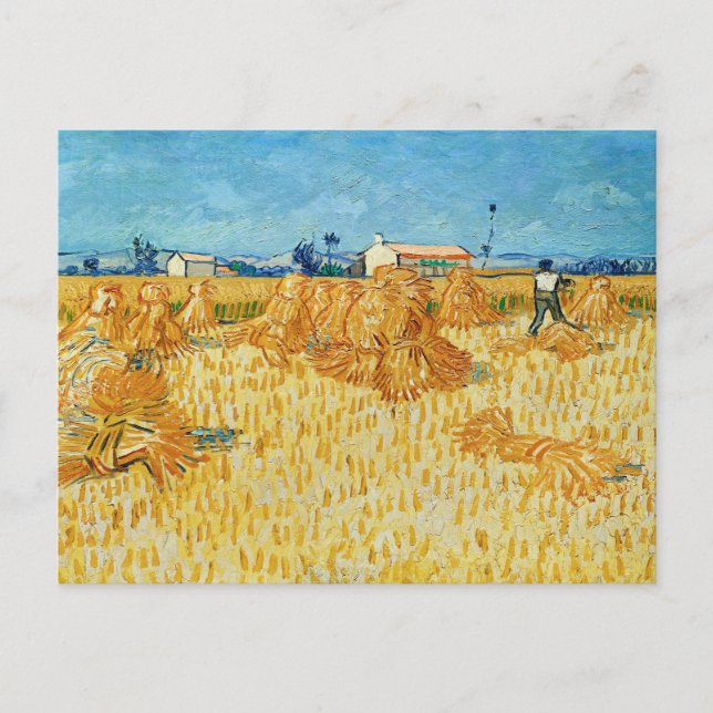 Cartão Postal Vincent Van Gogh, Colheita de Milho na Provença (Frente)