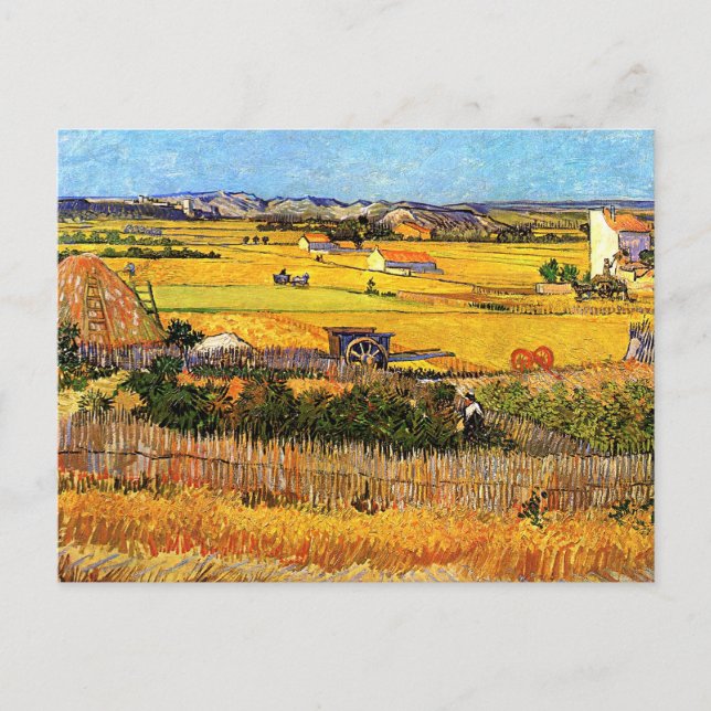 Cartão Postal Vincent Van Gogh - Colheita em La Crau Fine Art (Frente)
