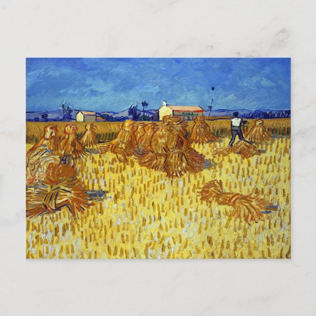 Cartão Postal Vincent van Gogh Corn Harvest em Provença (Frente)