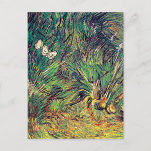 Cartão Postal Vincent Van Gogh - Duas Borboletas Brancas Arte Fi