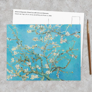 Cartão Postal Vincent van Gogh - Flor de Amendoeira