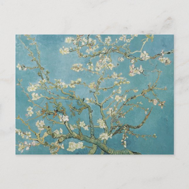 Cartão Postal vincent van gogh, flores de amendoeira (Frente)