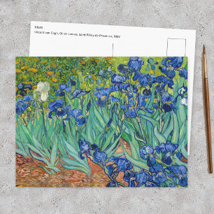 Cartão Postal Vincent Van Gogh - Íris