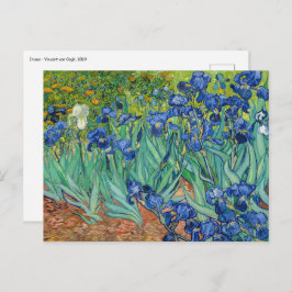 Cartão Postal Vincent Van Gogh - Íris