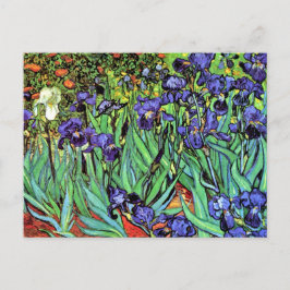 Cartão Postal Vincent Van Gogh - Íris - Amante de Flores Arte Fi