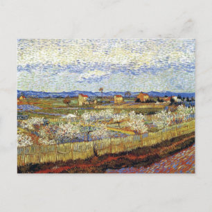 Cartão Postal Vincent Van Gogh - La Crau com Pessegueiros