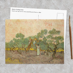 Cartão Postal Vincent van Gogh - Mulheres Colhendo Azeitonas