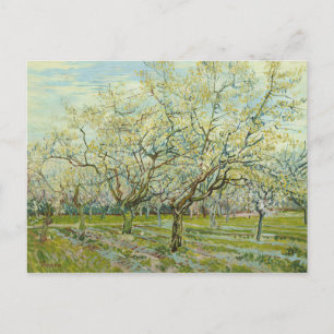 Cartão Postal Vincent van Gogh - o pomar branco