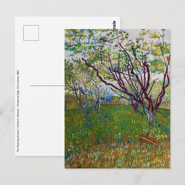 Cartão Postal Vincent van Gogh - O Pomar Flor (Frente/Verso)