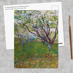 Cartão Postal Vincent van Gogh - O Pomar Florido