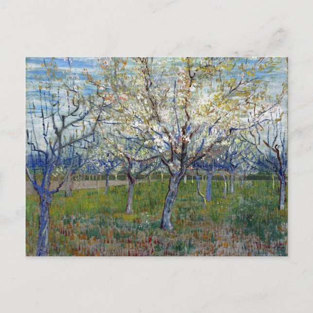 Cartão Postal Vincent van Gogh O Pomar Rosa (Frente)