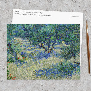Cartão Postal Vincent van Gogh - Olival: Céu Azul Brilhante