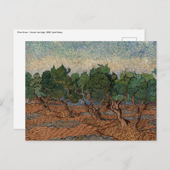 Cartão Postal Vincent van Gogh - Olive Grove (Frente/Verso)