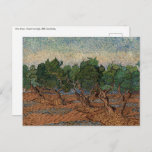 Cartão Postal Vincent van Gogh - Olive Grove<br><div class="desc">Olive Grove - Vincent van Gogh,  1889,  Remy-Santo</div>