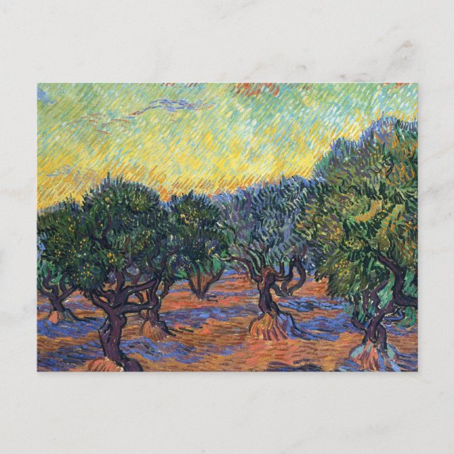 Cartão Postal Vincent Van Gogh Olive Grove Impressionismo Arte (Frente)