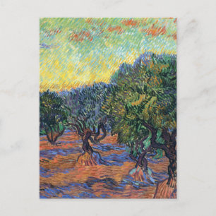 Cartão Postal Vincent Van Gogh Olive Grove Impressionismo Arte