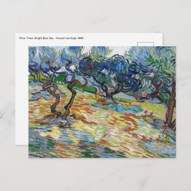 Cartão Postal Vincent van Gogh - Oliveiras: Céu azul brilhante (Frente/Verso)