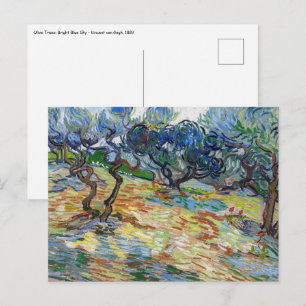 Cartão Postal Vincent van Gogh - Oliveiras: Céu azul-claro
