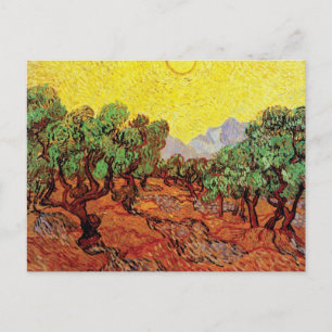 Cartão Postal Vincent Van Gogh - Oliveiras Com Céu Amarelo