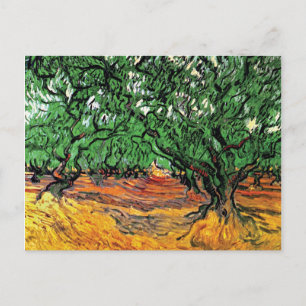 Cartão Postal Vincent Van Gogh - Oliveiras de Bela Arte