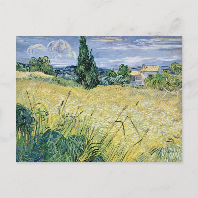 Cartão Postal Vincent van Gogh | Paisagem com Milho Verde, 1889 (Frente)