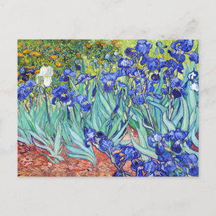 Cartão Postal Vincent Van Gogh pintando Íris