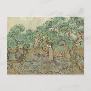 Cartão Postal Vincent Van Gogh Pomar De Oliva