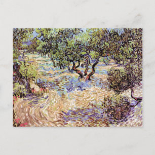 Cartão Postal Vincent Van Gogh - Pomar de Oliveiras Arte Fino