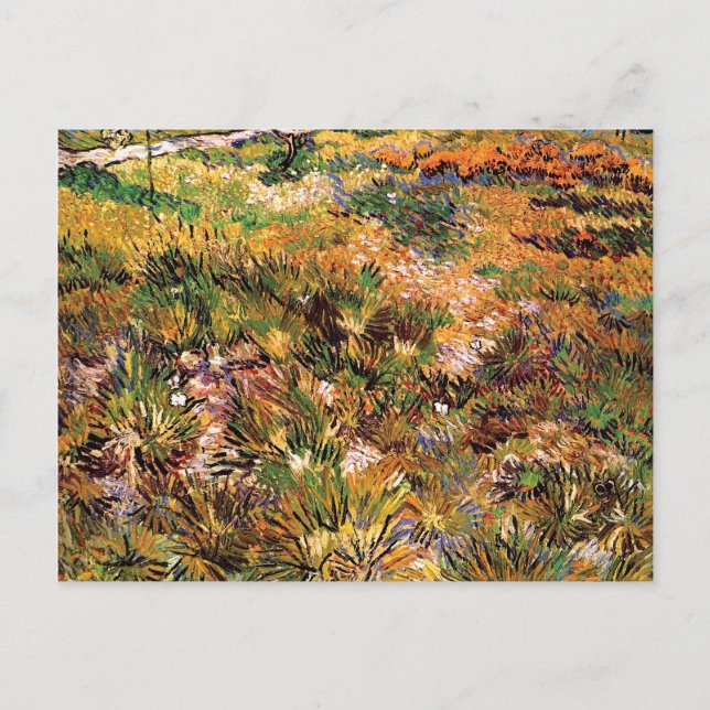 Cartão Postal Vincent Van Gogh - Prado no Jardim Arte Fino (Frente)