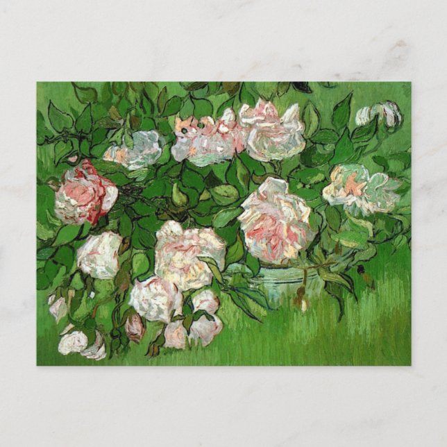 Cartão Postal Vincent Van Gogh - Rosas Rosa Ainda Vidas - Belas  (Frente)
