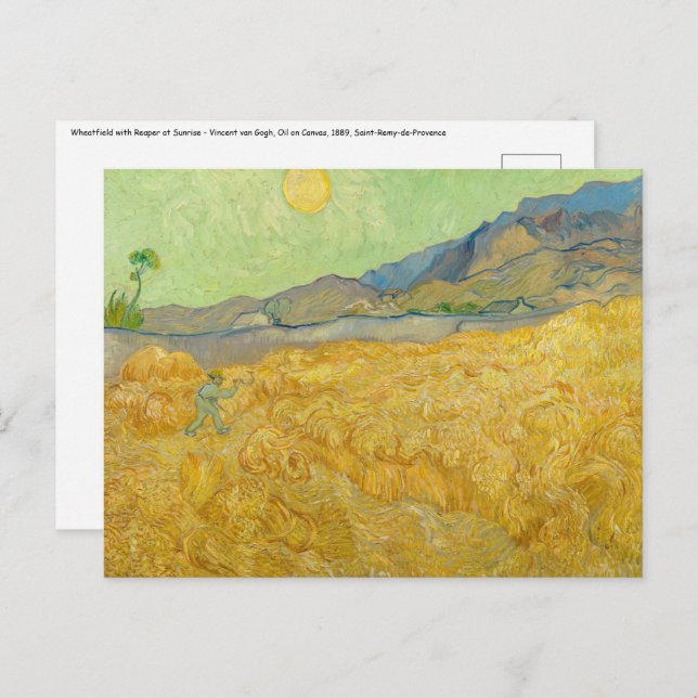 Cartão Postal Vincent van Gogh - Wheatfield com um Receptor (Frente/Verso)