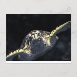 Cartão Postal "Vindo Para Você"