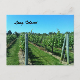 Cartão Postal Vineyard Long Island