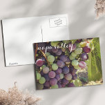 Cartão Postal Vineyard Red & Green Graphics<br><div class="desc">Este cartão postal bonito mostra um close-up das uvas vinícolas em "veraison" — o processo de amadurecimento que as transforma de verde em vermelho. Foto no lendário Vale Napa da Califórnia em julho de 2015.</div>
