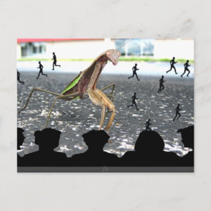 Cartão Postal Vingança da Louva Mantis