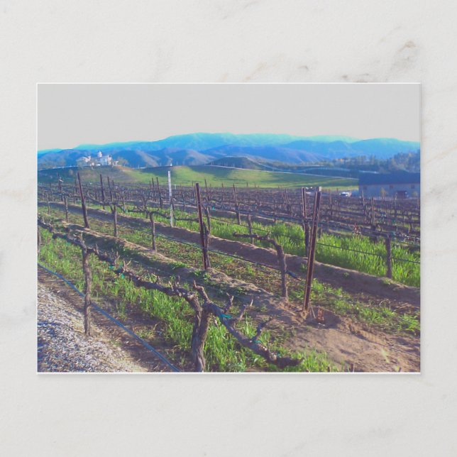 Cartão Postal Vinha (Frente)