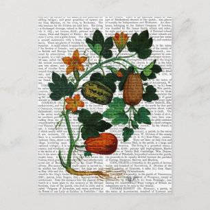 Cartão Postal Vinha-esquadrão 1