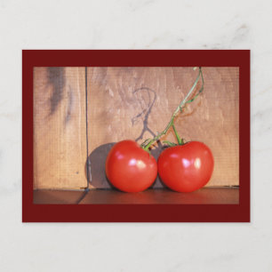 Cartão Postal Vinha Ripenada
