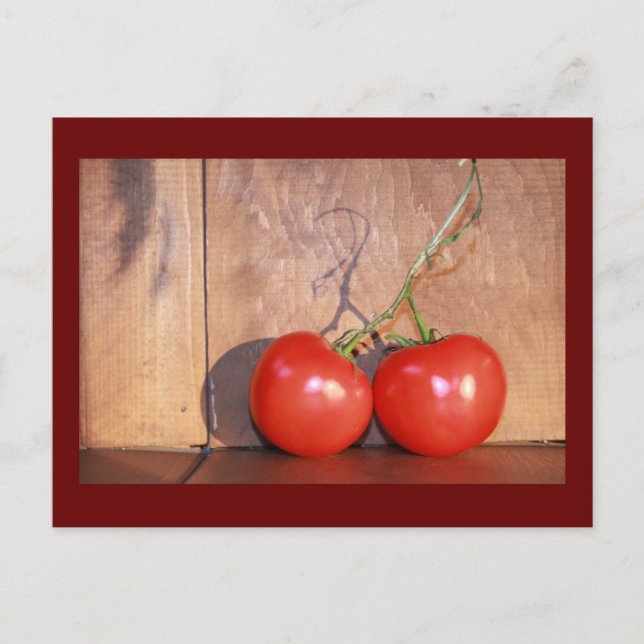 Cartão Postal Vinha Ripenada (Frente)