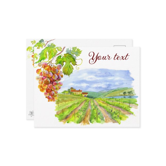 Cartão Postal Vinha Sunny. Cartão-postal de arte aquática (Frente/Verso In Situ)