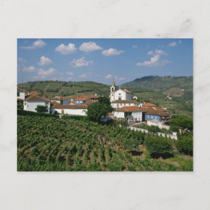 Cartão Postal Vinhas, Aldeia de São Miguel, Douro